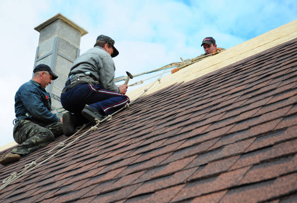 Best Shingle Roofing Installation  in Clay, CA